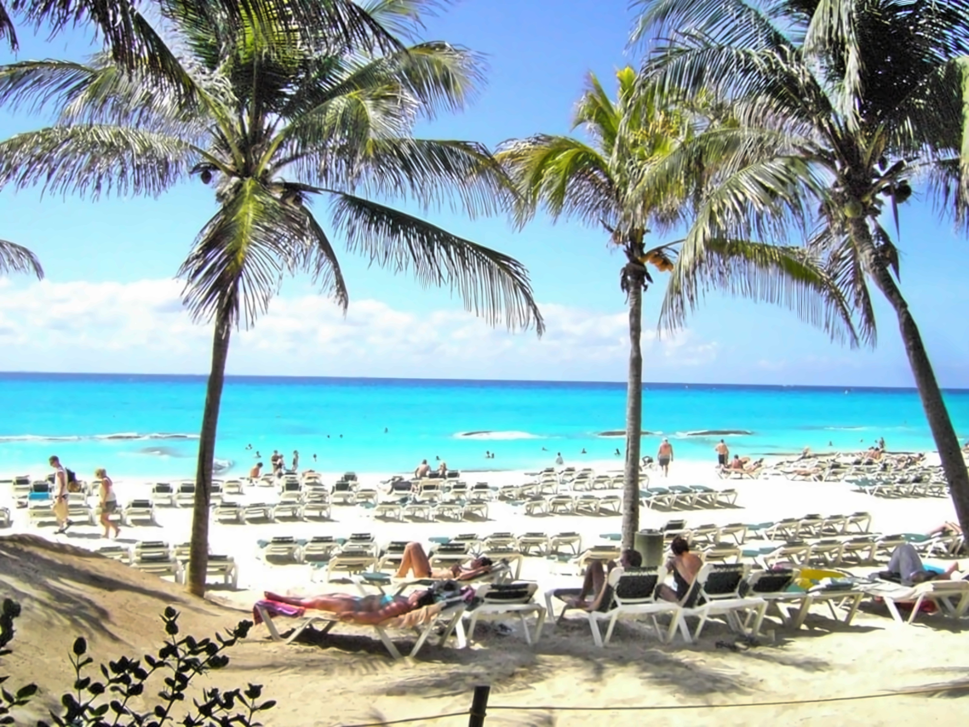 Riu Tequila Playa del Carmen Мексика photo, price for the vacation from ...