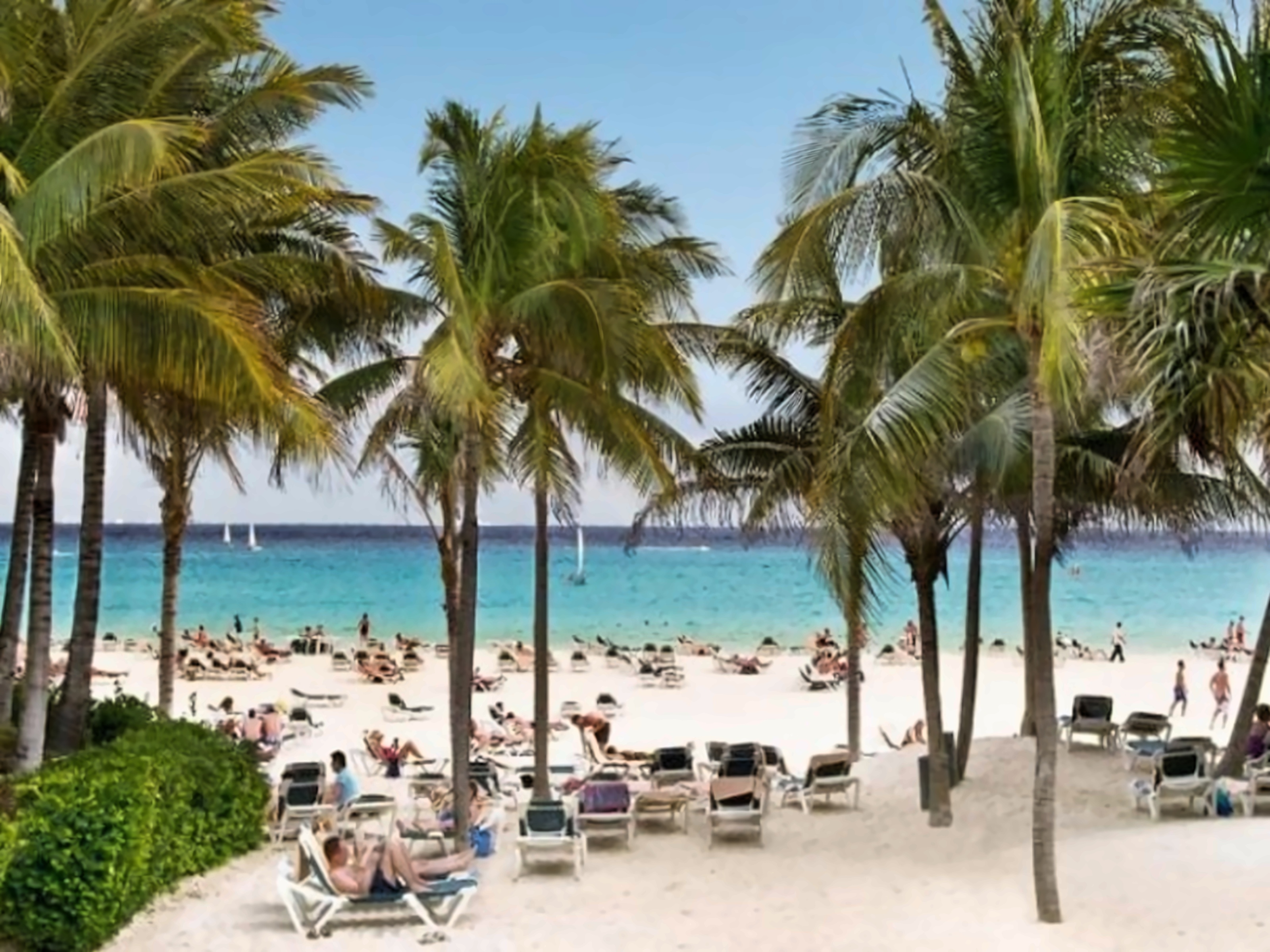 Riu Tequila Playa del Carmen Мексика photo, price for the vacation from ...