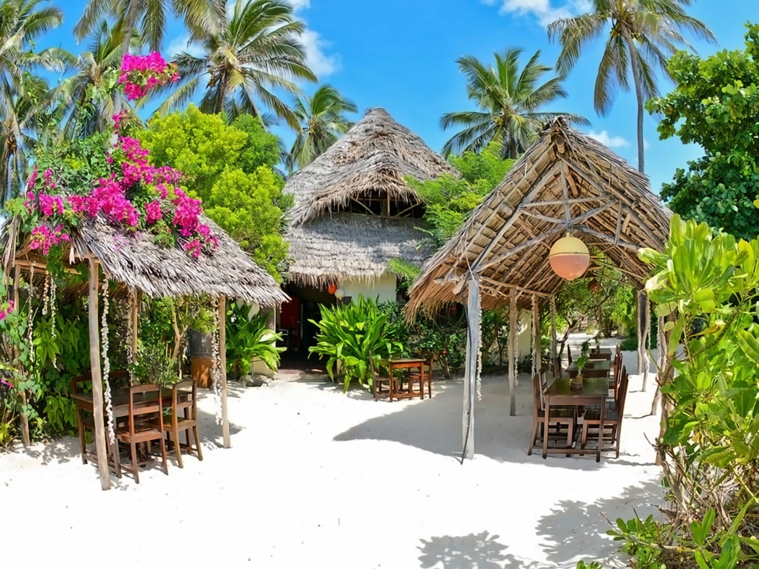 Coco Beach Hotel Jambiani Tanzania photo, price for the vacation from