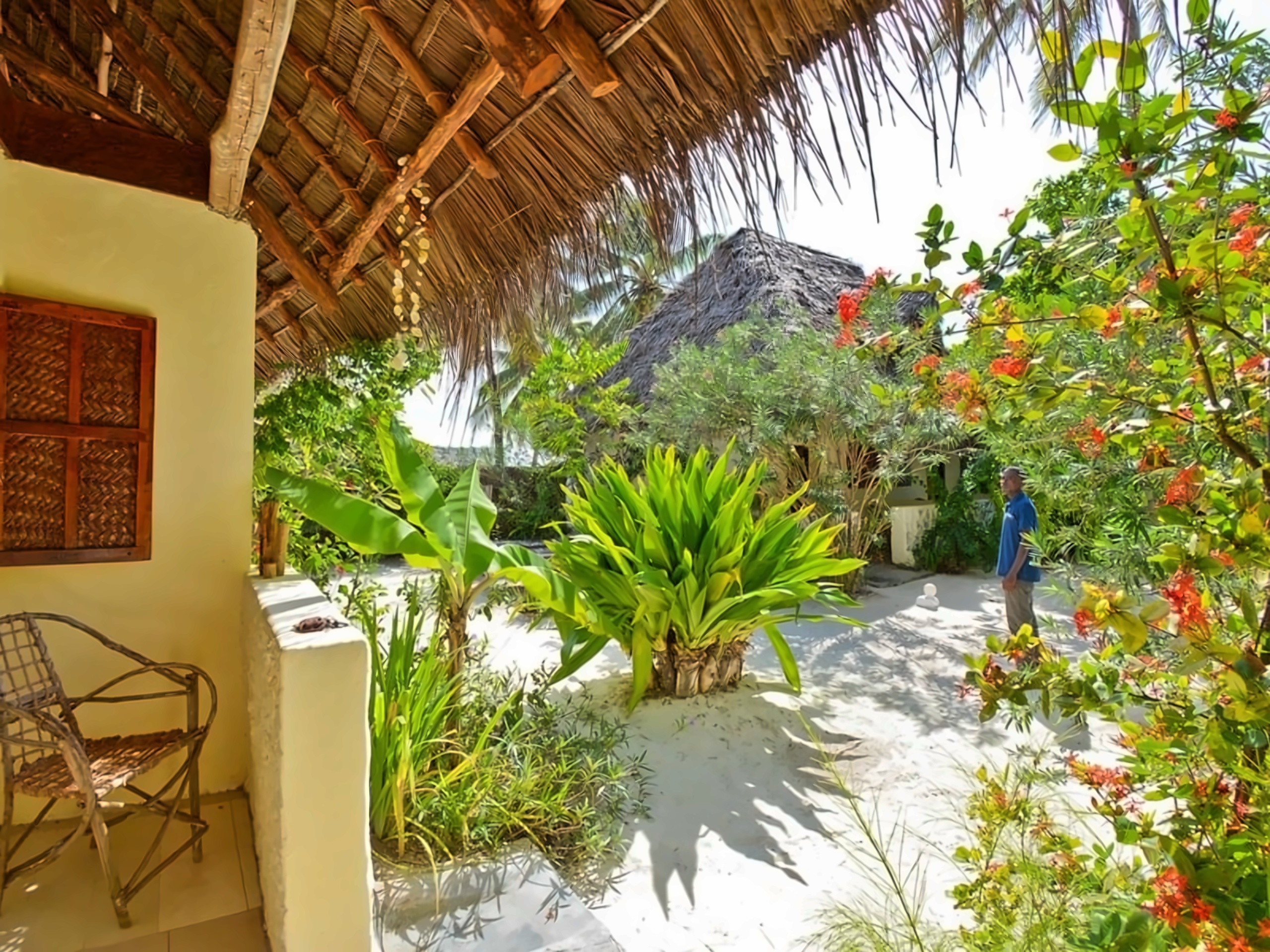 Coco Beach Hotel Jambiani Tanzania photo, price for the vacation from