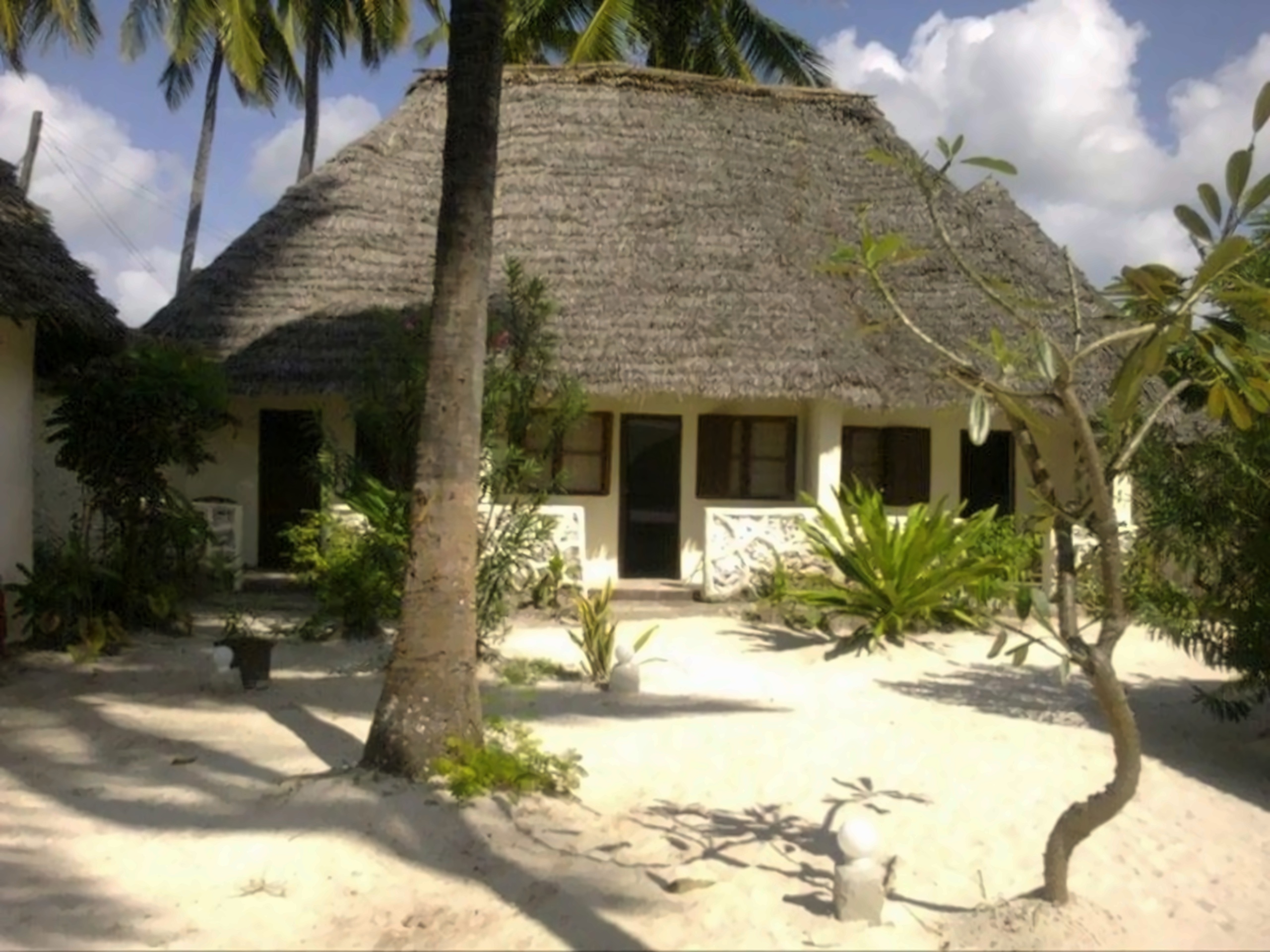 Coco Beach Hotel Jambiani Tanzania photo, price for the vacation from