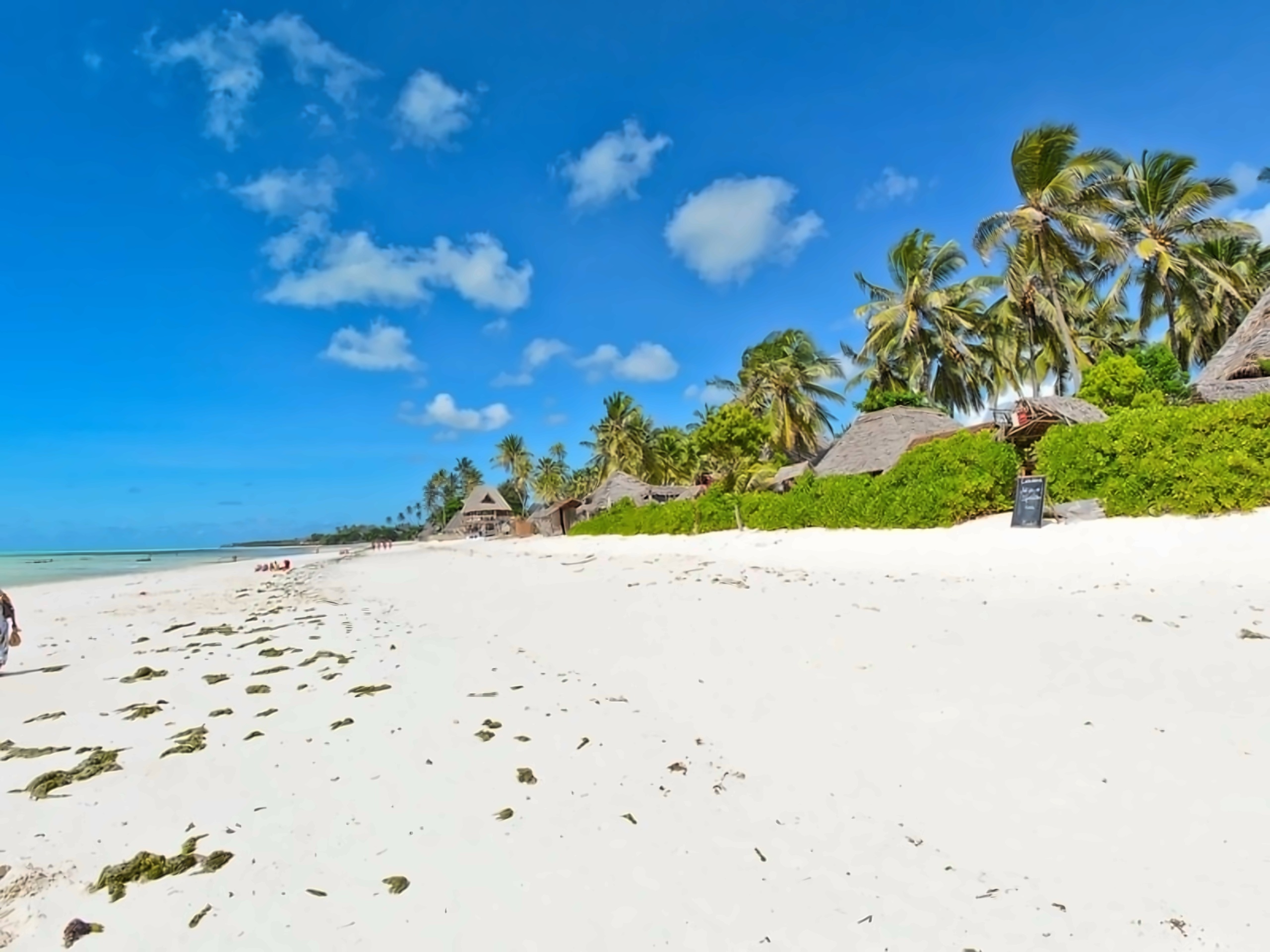 Coco Beach Hotel Jambiani Tanzania photo, price for the vacation from