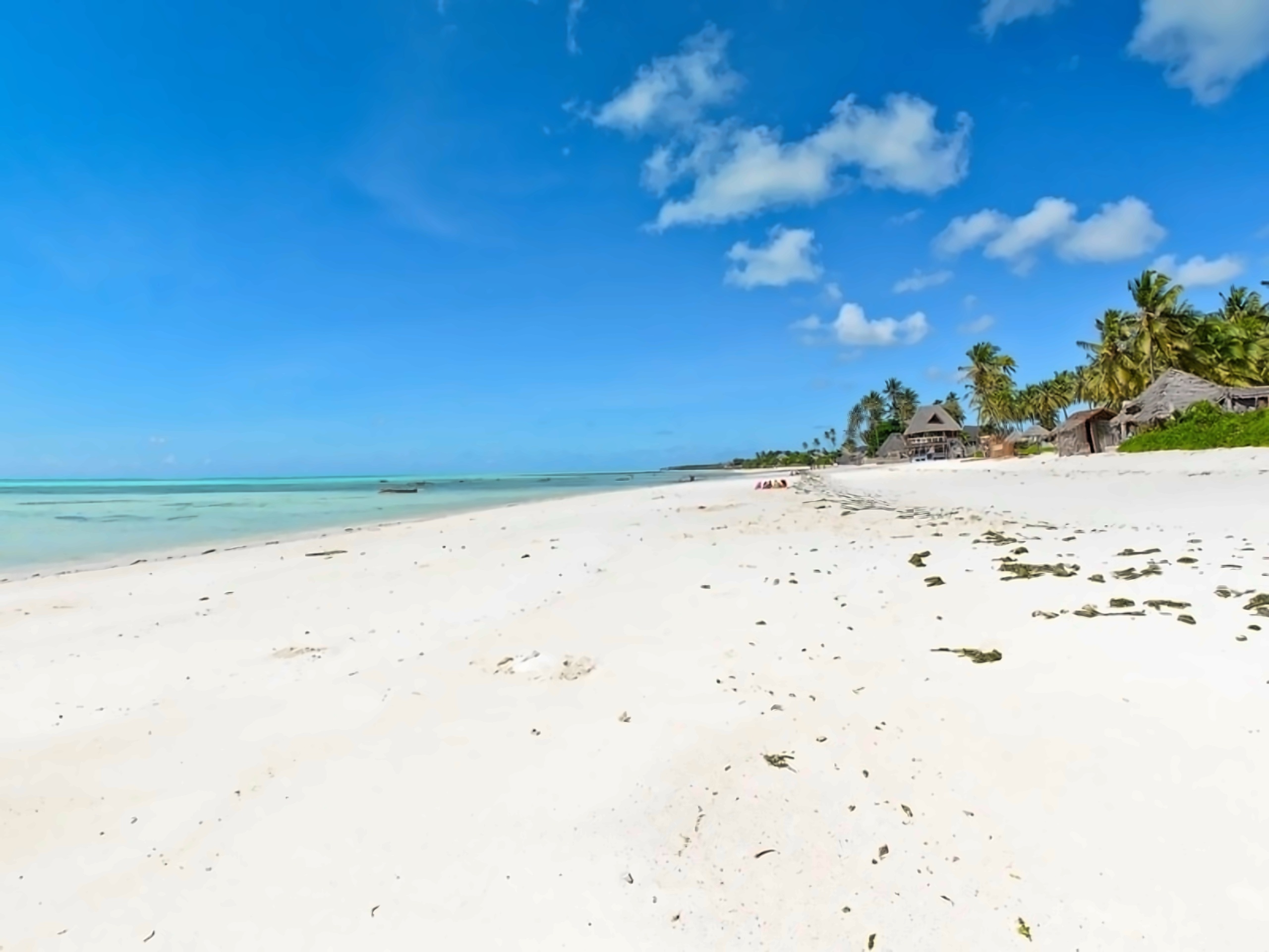 Coco Beach Hotel Jambiani Tanzania photo, price for the vacation from