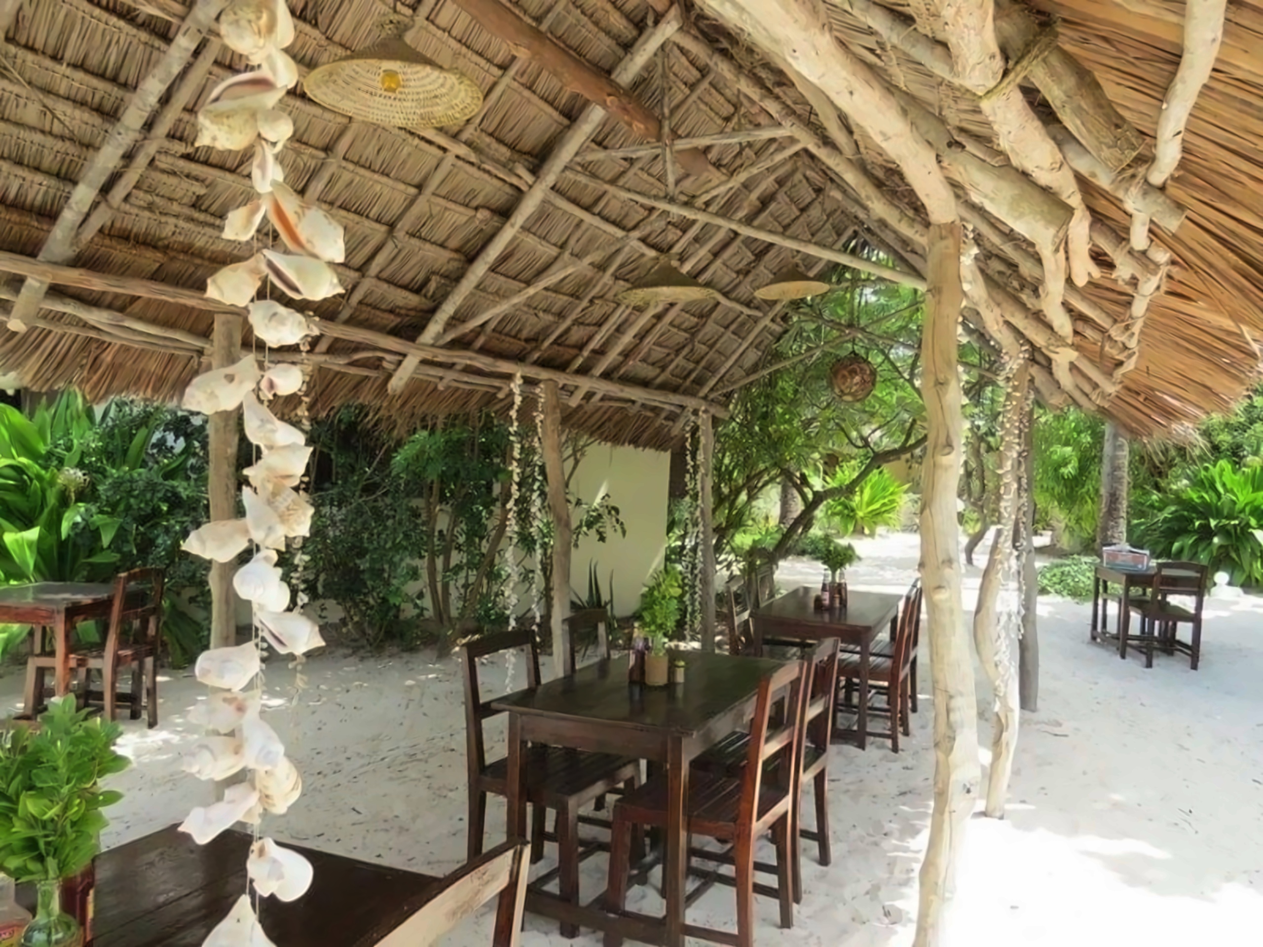 Coco Beach Hotel Jambiani Tanzania photo, price for the vacation from